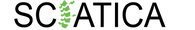 Sciatica