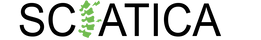 Sciatica